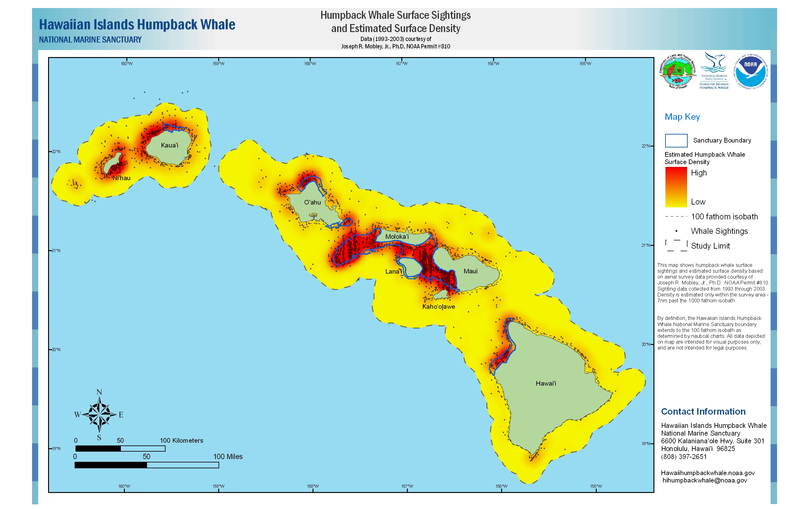Whale Density Map