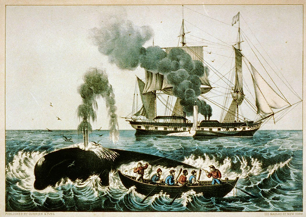 1860's painting of a whaling ship and a smaller boat with crew catching a whale