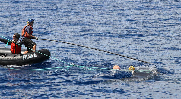 Two people on a raft work to free an entangled whale