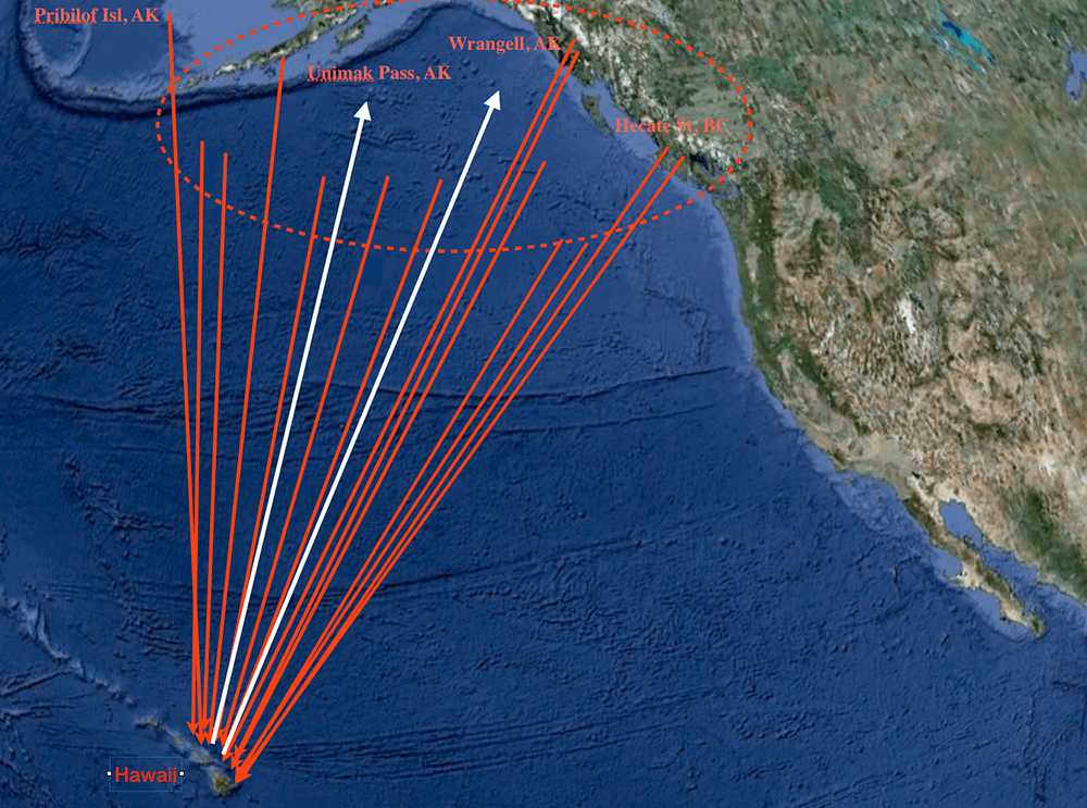 map showing orgins of the entangled gear removed from whales