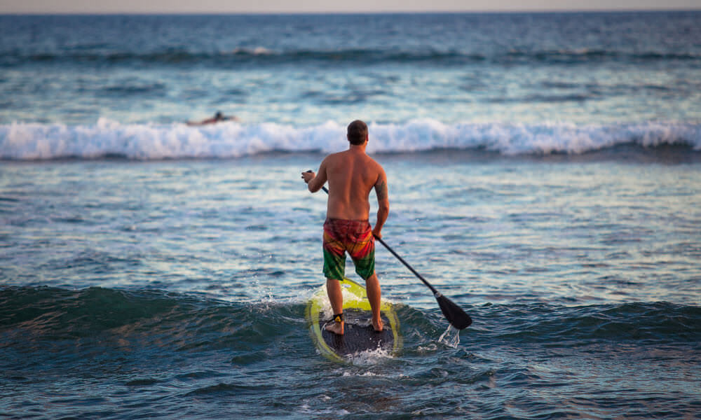 Stand Up Paddle Boarder