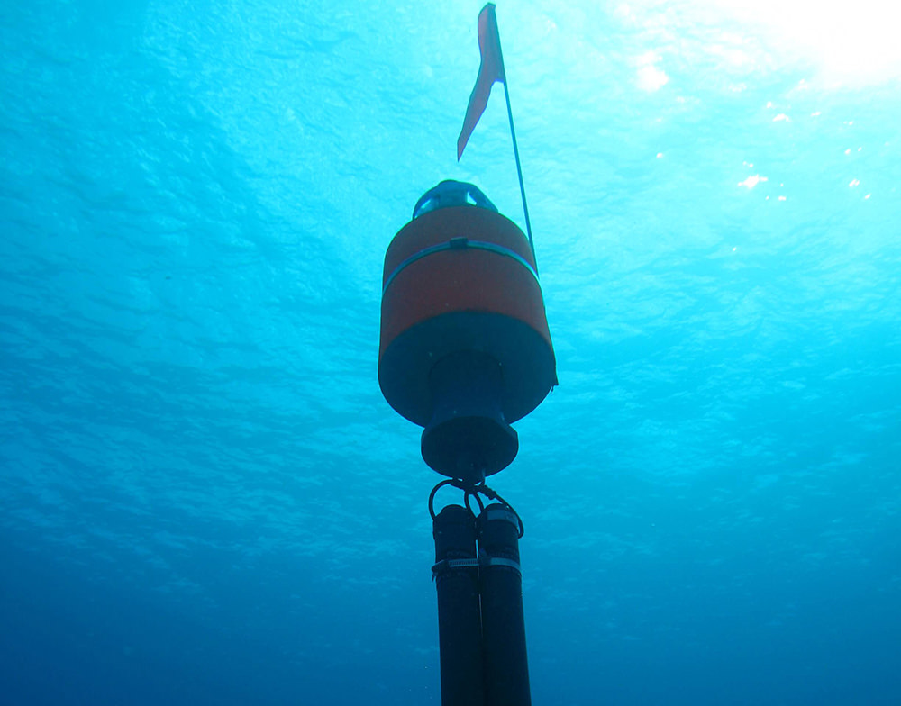 an image of a whale accoustic monitoring device underwater
