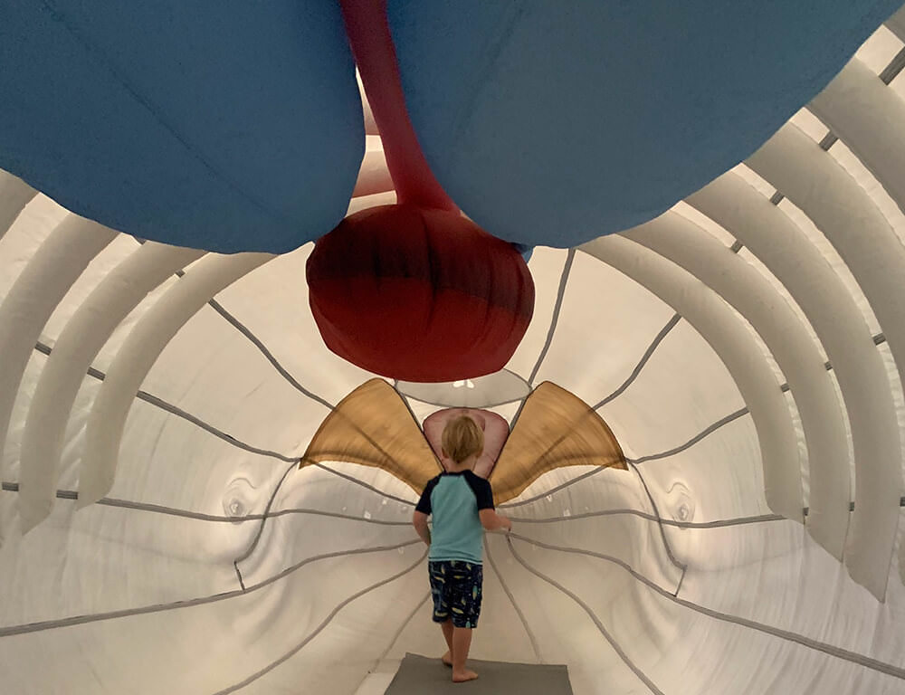 a child inside an inflatable humpback whale
