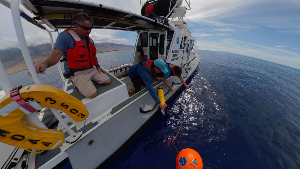 Researchers deploying a sound mooring
