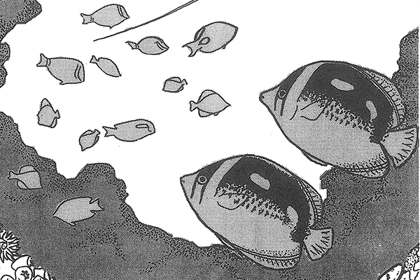 illustrations of several fish
