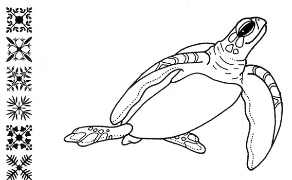 illustrations of a sea turtle