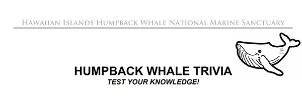 Humback whale trivia test yourr knowledge