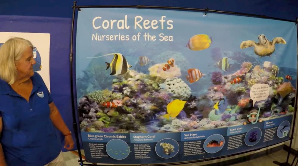 Coral Reefs Thumbnail